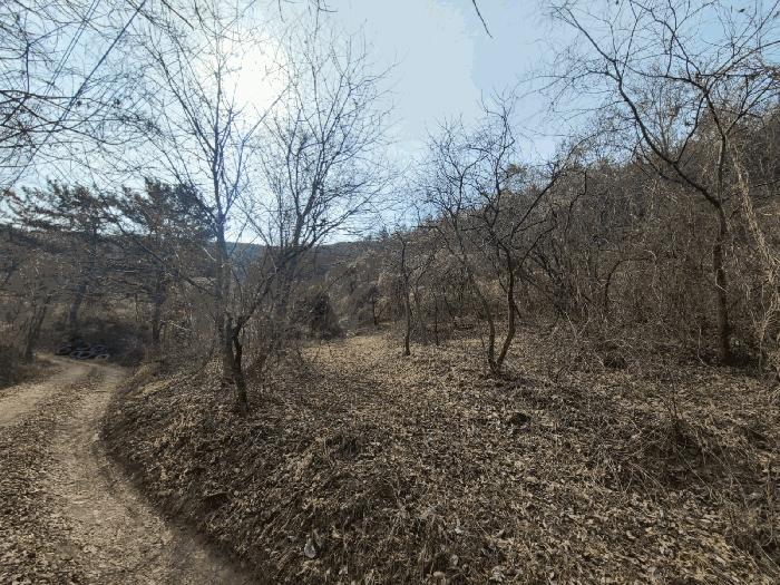 경상남도 의령군 정곡면 성황리 산64 임야 경매 사진 5
