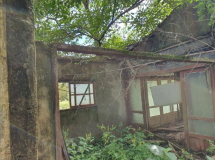 전라남도 장흥군 장평면 임리 268 전 경매 사진 10