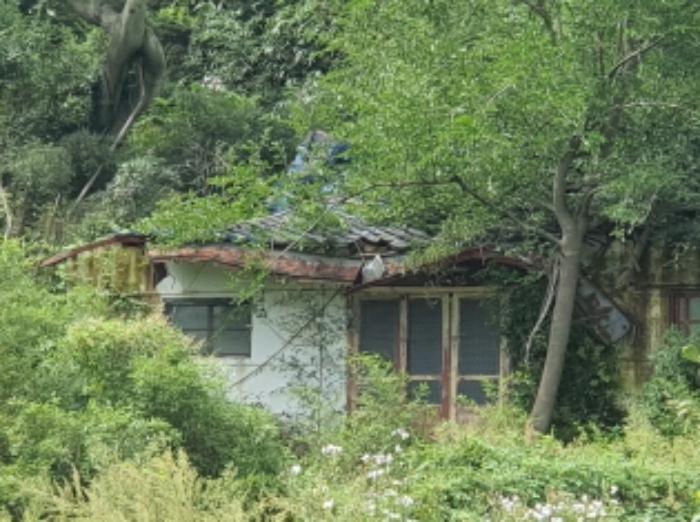 전라남도 장흥군 장평면 임리 268 전 경매 사진 8