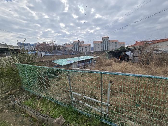 전라남도 장흥군 장흥읍 건산리 571-7 답 경매 사진 2