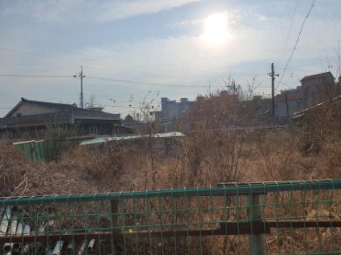 전라남도 장흥군 장흥읍 건산리 571-7 답 경매 사진 5