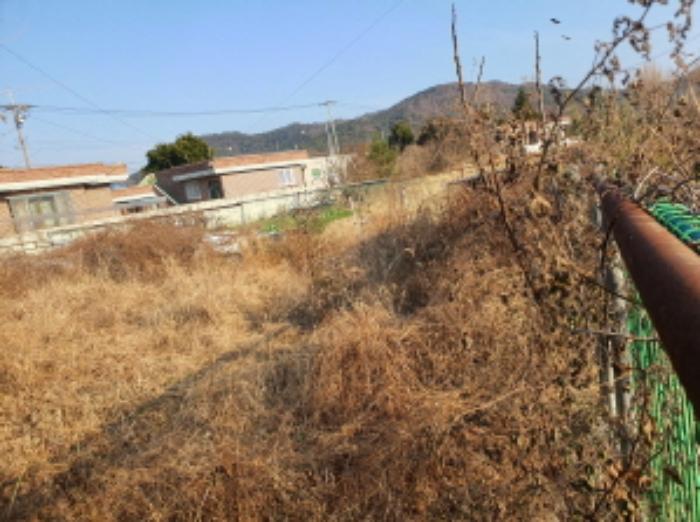 전라남도 장흥군 장흥읍 건산리 571-7 답 경매 사진 6