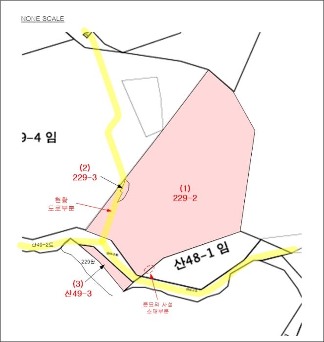 경기도 안성시 서운면 신흥리 229-2 임야 경매 사진 14