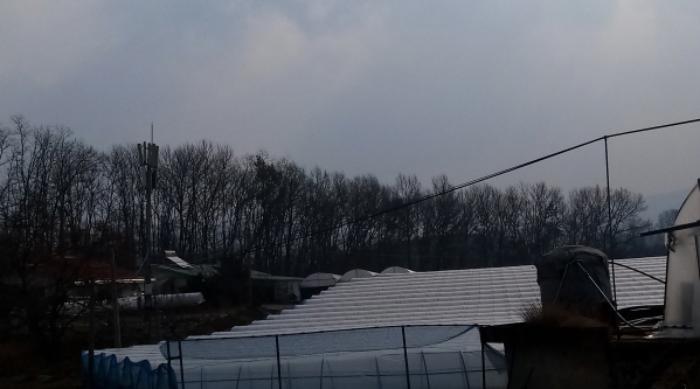 경기도 안성시 서운면 신흥리 산49-3 임야 경매 사진 8