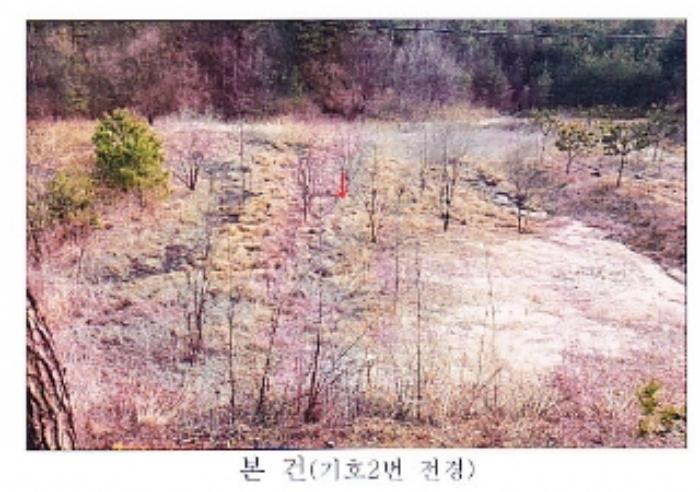 강원도 강릉시 사천면 석교리 527 답 경매 사진 3