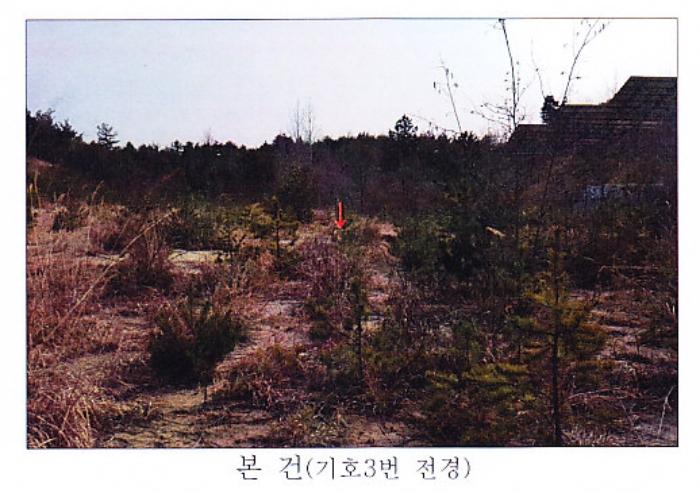 강원도 강릉시 사천면 석교리 527 답 경매 사진 4