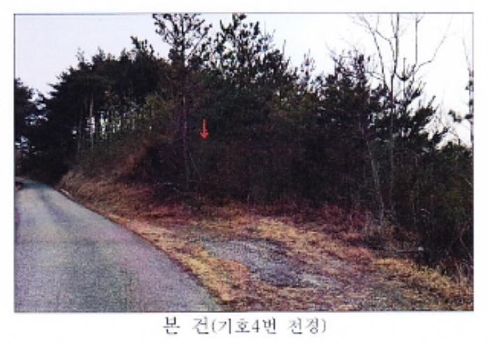 강원도 강릉시 사천면 석교리 527 답 경매 사진 5