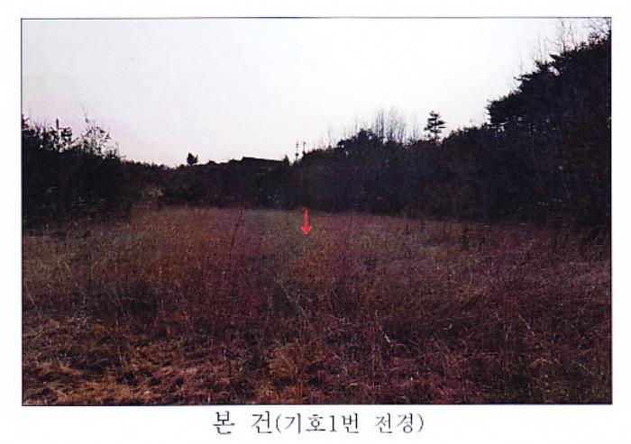 강원도 강릉시 사천면 석교리 520-2 답 경매 사진 2