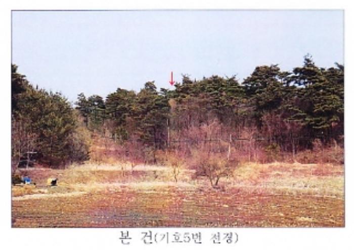 강원도 강릉시 사천면 석교리 520-2 답 경매 사진 6