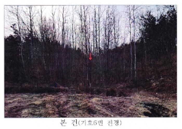 강원도 강릉시 사천면 석교리 520-2 답 경매 사진 7