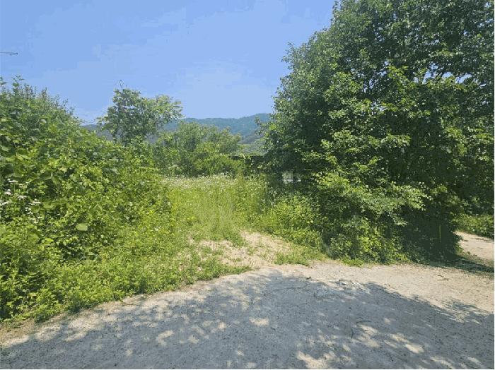 충청북도 음성군 소이면 충도리 752 주택 경매 사진 12