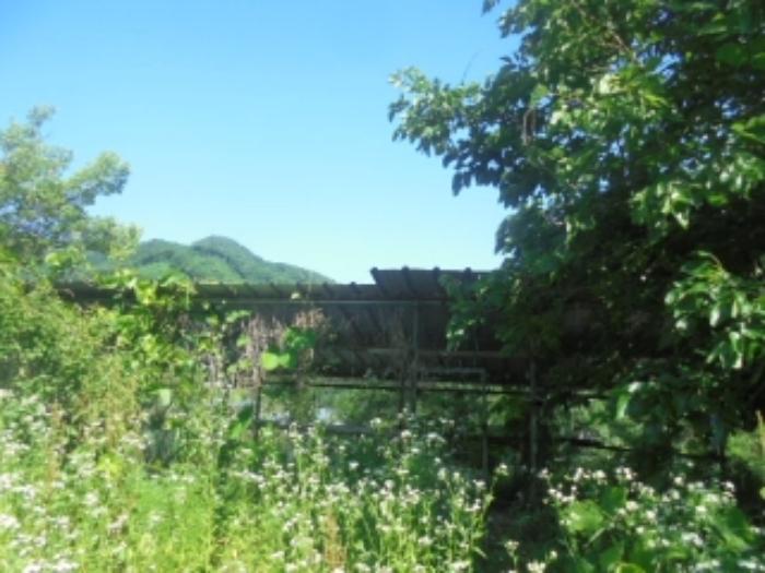 충청북도 음성군 소이면 충도리 752 주택 경매 사진 27