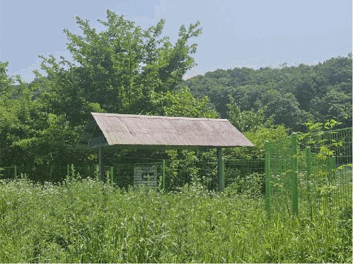 충청북도 음성군 소이면 충도리 752 주택 경매 사진 7