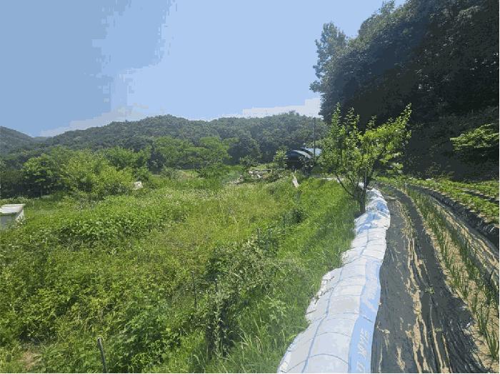 충청북도 음성군 소이면 충도리 752 주택 경매 사진 8