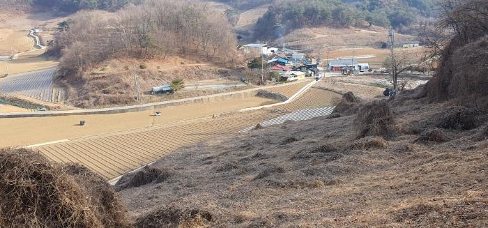 충청북도 제천시 수산면 고명리 83-1 임야 경매 사진 2