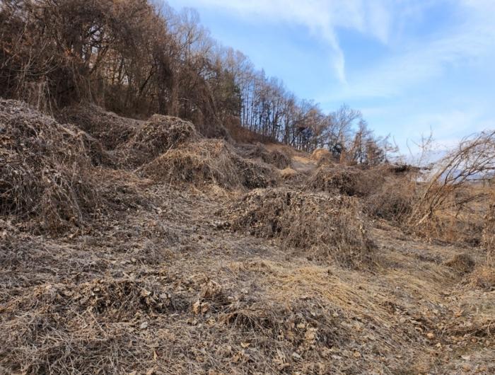 충청북도 제천시 수산면 고명리 83-1 임야 경매 사진 3