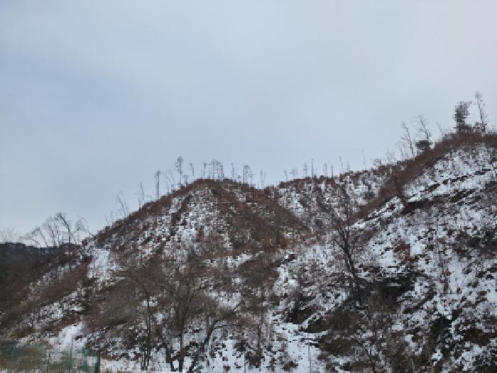충청북도 제천시 봉양읍 학산리 산10 임야 경매 사진 3
