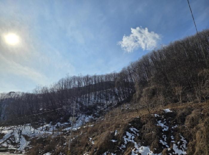 충청북도 제천시 봉양읍 학산리 산10 임야 경매 사진 5