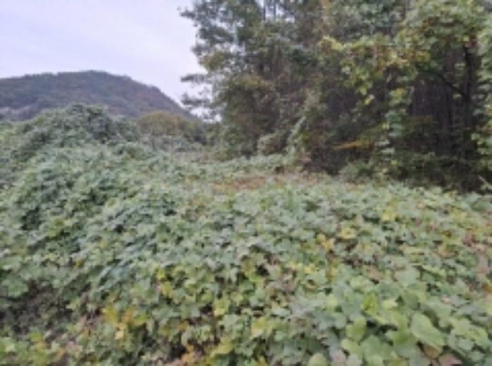 경상남도 남해군 남면 홍현리 464 임야 경매 사진 2