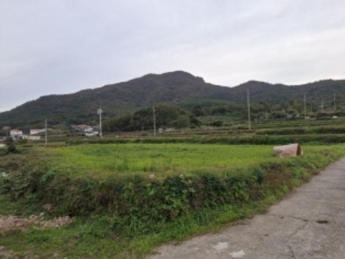 경상남도 남해군 남면 홍현리 464 임야 경매 사진 3