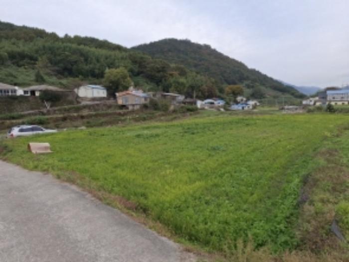 경상남도 남해군 남면 홍현리 464 임야 경매 사진 4