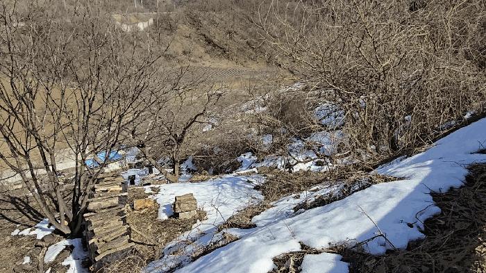 충청북도 제천시 청풍면 부산리 19-1 전 경매 사진 1