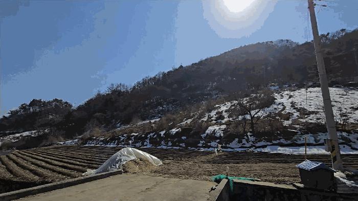 충청북도 제천시 청풍면 부산리 19-1 전 경매 사진 2