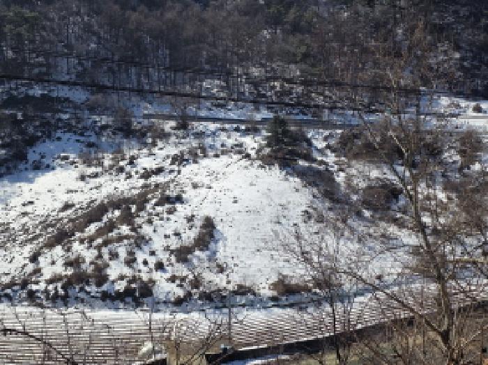 충청북도 제천시 청풍면 부산리 19-1 전 경매 사진 4