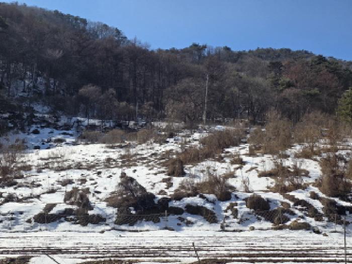 충청북도 제천시 청풍면 부산리 19-1 전 경매 사진 5