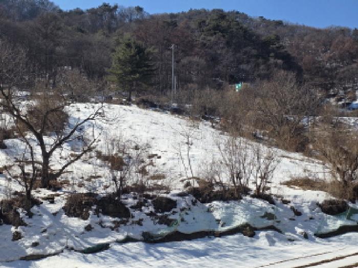 충청북도 제천시 청풍면 부산리 19-1 전 경매 사진 6