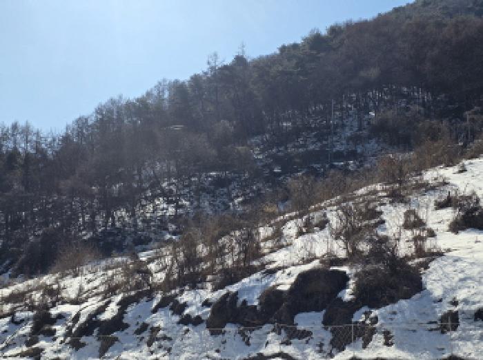 충청북도 제천시 청풍면 부산리 19-1 전 경매 사진 7