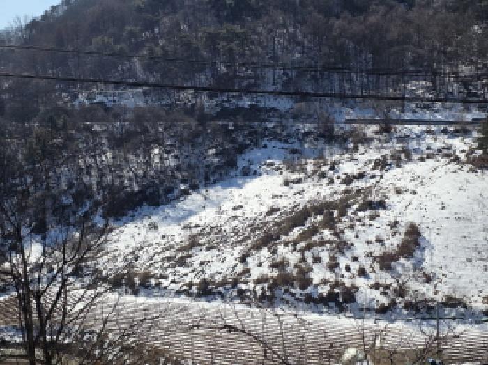 충청북도 제천시 청풍면 부산리 19-1 전 경매 사진 8