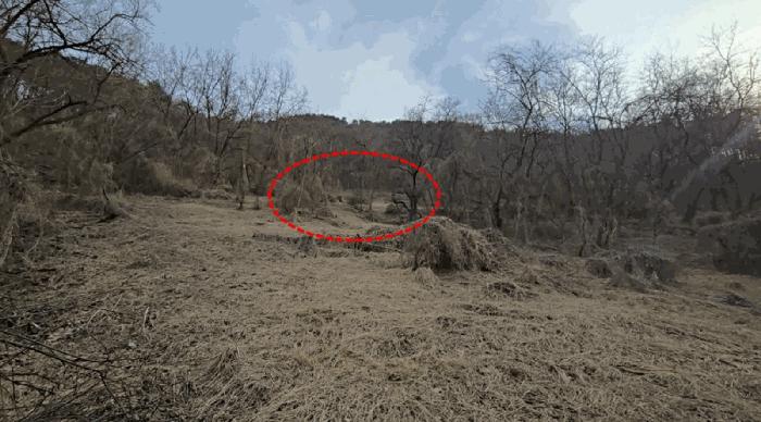 충청북도 제천시 전