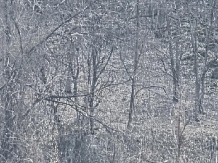 충청북도 제천시 수산면 괴곡리 253 전 경매 사진 3