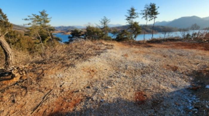 충청북도 제천시 백운면 애련리 477 답 경매 사진 24