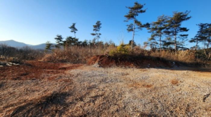 충청북도 제천시 백운면 애련리 477 답 경매 사진 25