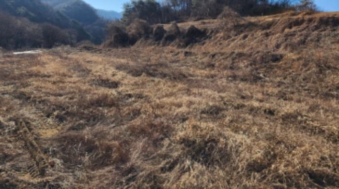 충청북도 제천시 백운면 애련리 477 답 경매 사진 5