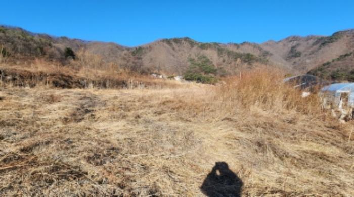 충청북도 제천시 백운면 애련리 477 답 경매 사진 7