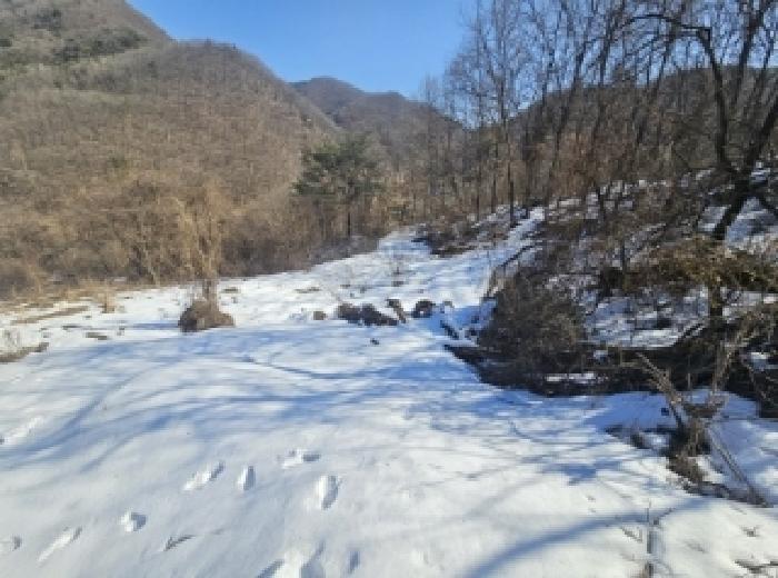 충청북도 단양군 단양읍 덕상리 66 전 경매 사진 4