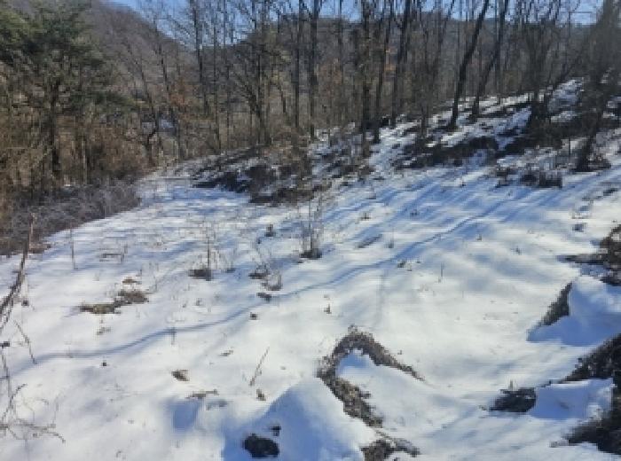 충청북도 단양군 단양읍 덕상리 66 전 경매 사진 6