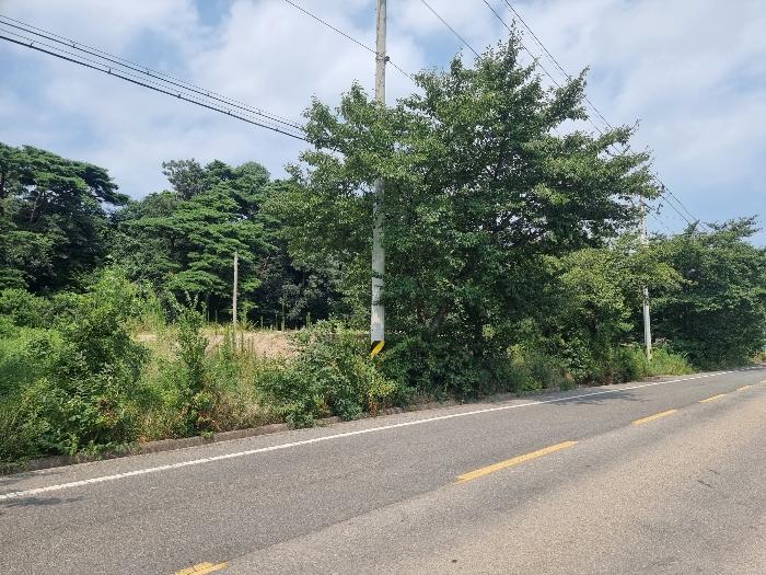경상북도 포항시 북구 청하면 서정리 382 전 경매 사진 1
