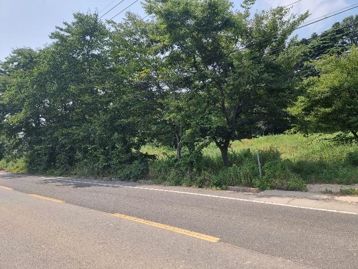 경상북도 포항시 북구 청하면 서정리 382 전 경매 사진 3