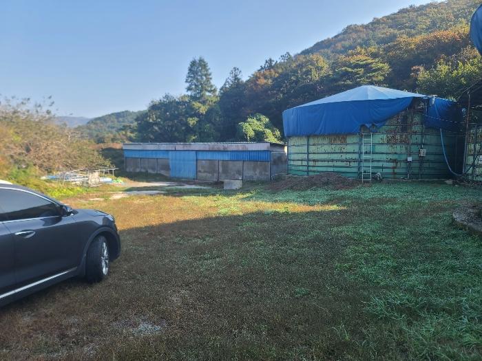 경상남도 거제시 하청면 실전리 135 임야 경매 사진 2