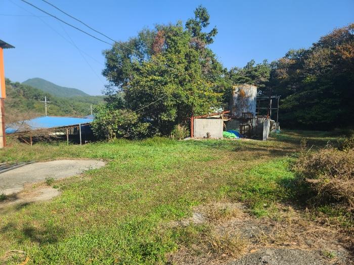 경상남도 거제시 하청면 실전리 135 임야 경매 사진 3