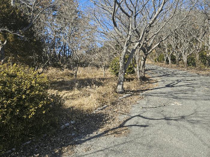 경상남도 거제시 둔덕면 학산리 67 숙박시설 경매 사진 6