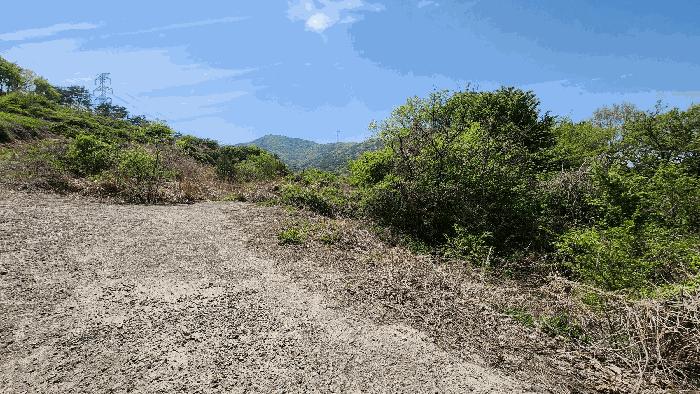 경상남도 고성군 대가면 갈천리 산275 임야 경매 사진 5