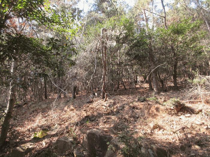 경상남도 거제시 덕포동 산19-1 임야 경매 사진 10