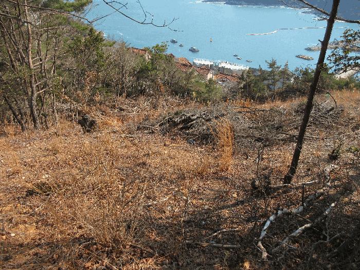 경상남도 거제시 덕포동 산19-1 임야 경매 사진 11