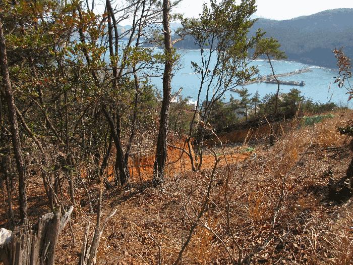 경상남도 거제시 덕포동 산19-1 임야 경매 사진 12