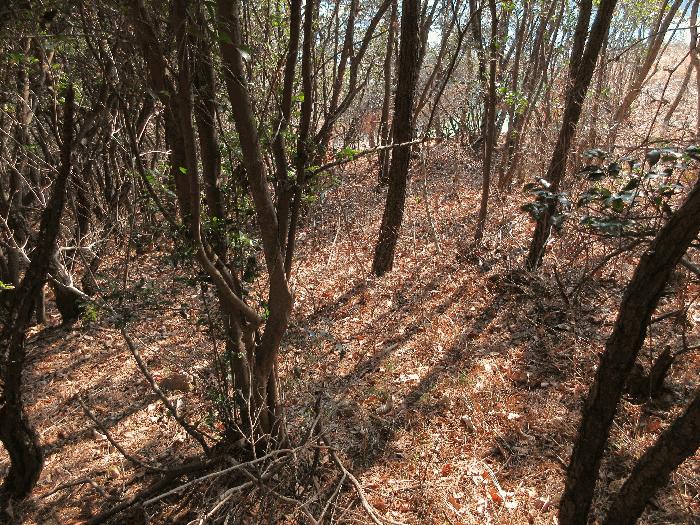 경상남도 거제시 덕포동 산19-1 임야 경매 사진 14